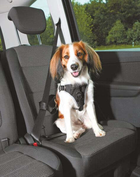 TRIXIE Auto-Geschirr Comfort